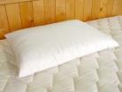 Holy Lamb Organics Wool Pillow, standard size regular fill