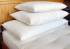 eco wool pillows