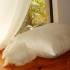 Organic Wool Fill Pillows